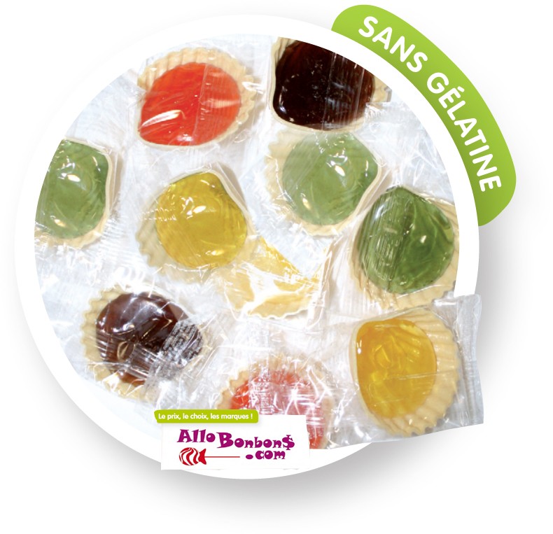 COQUILLAGES, asst x 24