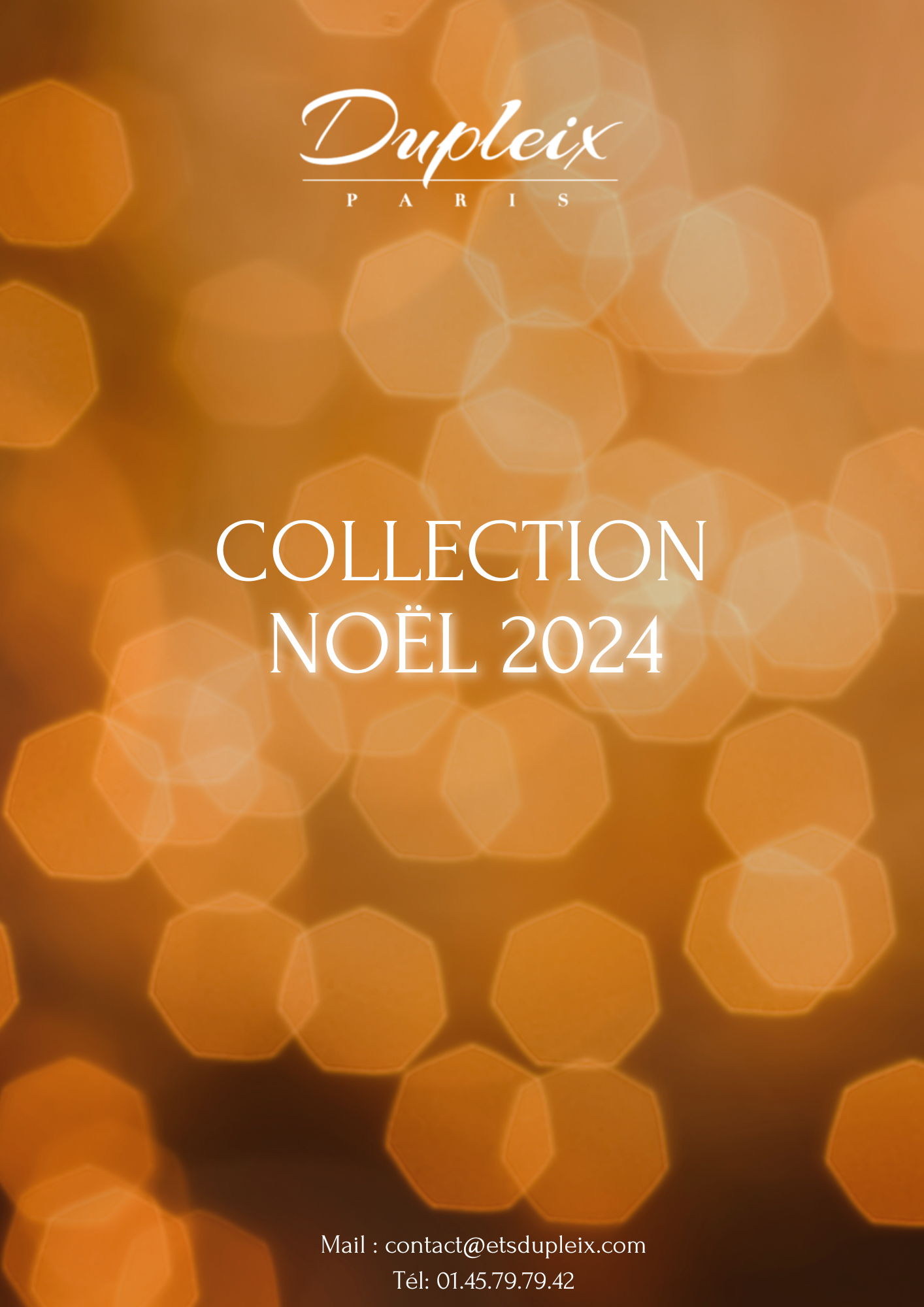 Catalogue de noel 2024 ets dupleix