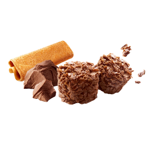 Rochers Croustillants Chocolat & Crêpe Dentelle 95g Gavottes